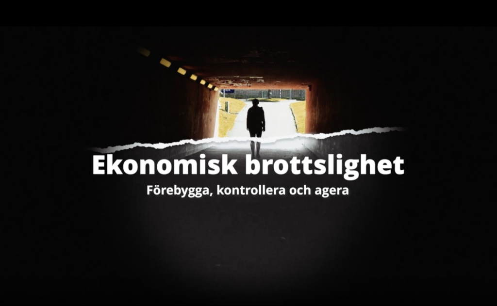 Ekonomisk brottslighet